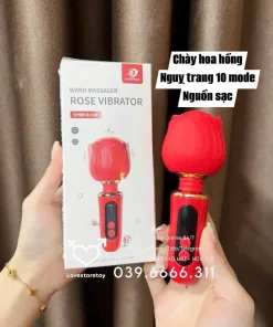 CHÀY MINI YUNMAN ROSÉ